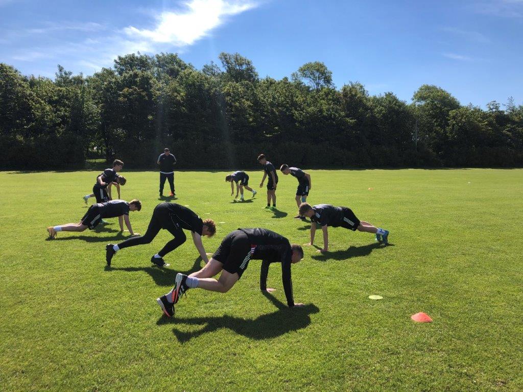 ffh galerie dänemark juni